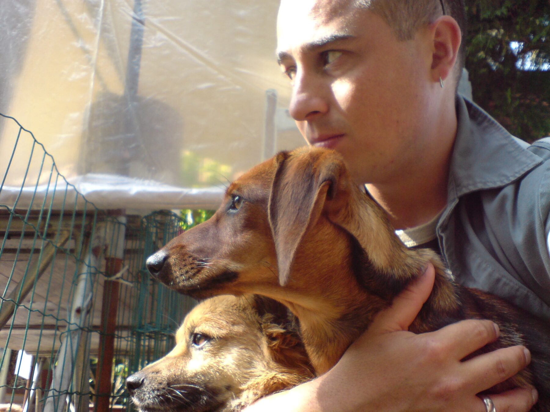 Baasje houdt twee honden dicht tegen zich aan